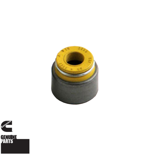 Valve Seal (Intake) | 5.9L 24v Cummins | Dodge 98-02