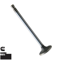 Intake Valve | 5.9L 24v Cummins | Dodge 98-07