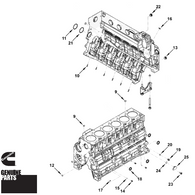 Cylinder Block Hardware Kit | 5.9L 24v Cummins | Dodge 98-02